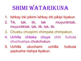 SHIMI WATARIKUNA
1. Ishkay irki pikimi ishkay irki pikipi tiyakun
2. Tik, tak, tik, tak               muyuntintak,
   muyuntiktak, tak, tik, tak, tik.
3. Chusku chuspimi chimpata chimpakun.
4. Uchilla chitaka chuya chiri ñuñuta
   chuchushpa chukchukun.
5. Uchilla     ukuchami      uchilla      hutkuta
   yaykusha nishpa tiyakun.
 