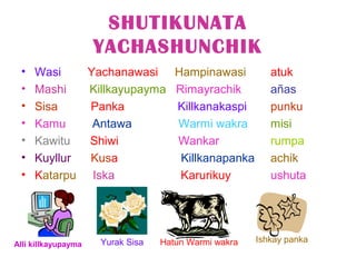 SHUTIKUNATA
                     YACHASHUNCHIK
 •   Wasi    Yachanawasi Hampinawasi                     atuk
 •   Mashi   Killkayupayma Rimayrachik                   añas
 •   Sisa    Panka         Killkanakaspi                 punku
 •   Kamu     Antawa       Warmi wakra                   misi
 •   Kawitu  Shiwi         Wankar                        rumpa
 •   Kuyllur Kusa           Killkanapanka                achik
 •   Katarpu Iska           Karurikuy                    ushuta




                     Yurak Sisa   Hatun Warmi wakra   Ishkay panka
Alli killkayupayma
 