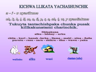 Kichwa  uta