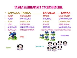 TAWKAYACHIKMANTA YACHASHUNCHIK
• SAPALLA TAWKA                       SAPALLA           TAWKA
•    RUNA       RUNAKUNA               MASHI          MASHIKUNA
•    YURA       YURAKUNA               SHUNKU         SHUNKUKUNA
•    SISA       SISAKUNA               CHURI          CHURIKUNA
•    URPI       URPIKUNA               KAMU           KAMUKUNA
•    ANKIYARI   ANKIYARIKUNA           MARKA          MARKAKUNA
•    KUYLLUR    KUYLLURKUNA         KILLKAYUPAYMA KILLKAYUPAYMAKUNA


                                                        Wasikuna
                Wasi



                               warmikuna
    warmi
 