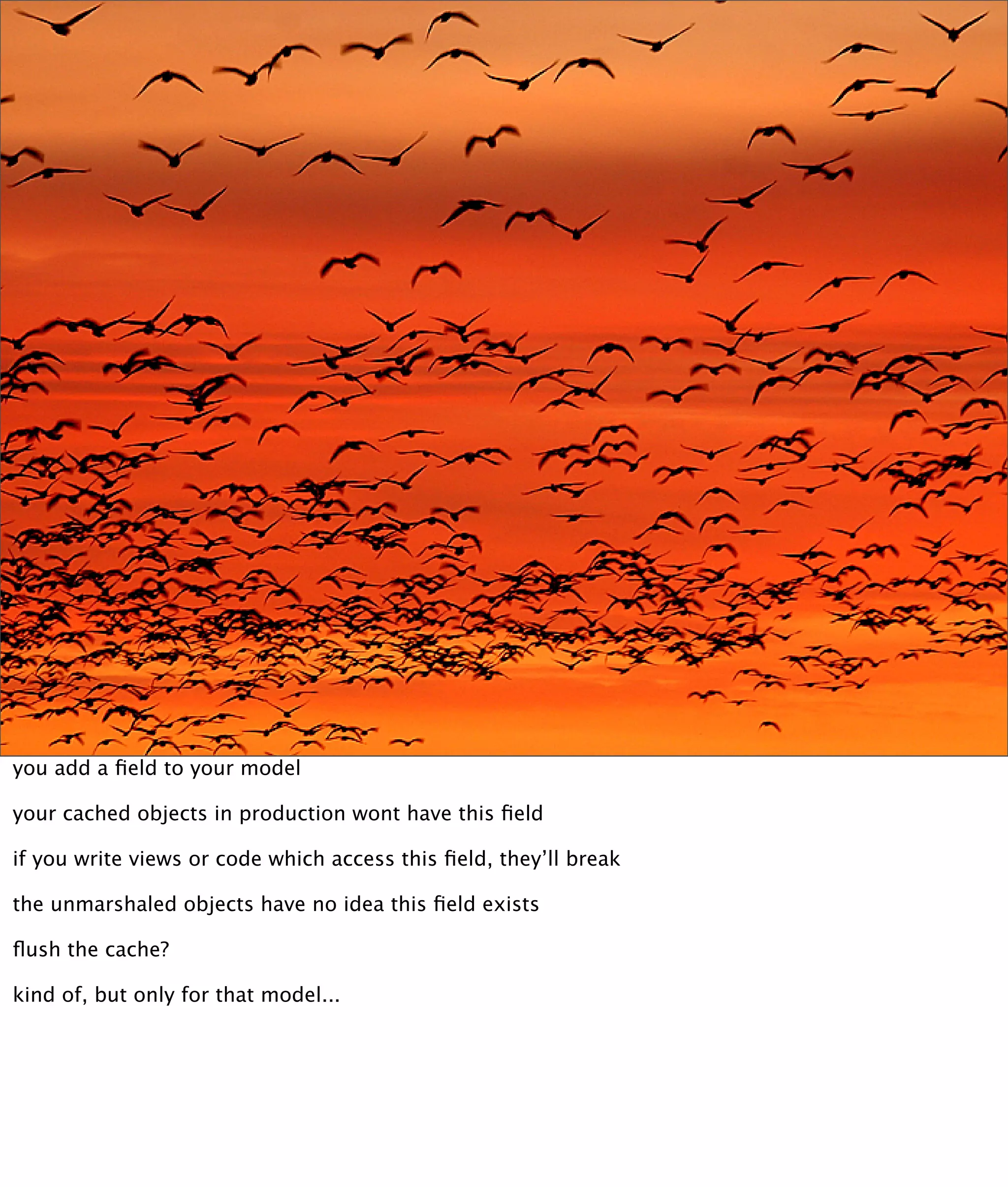 Kickin' Ass with Cache-Fu (with notes)