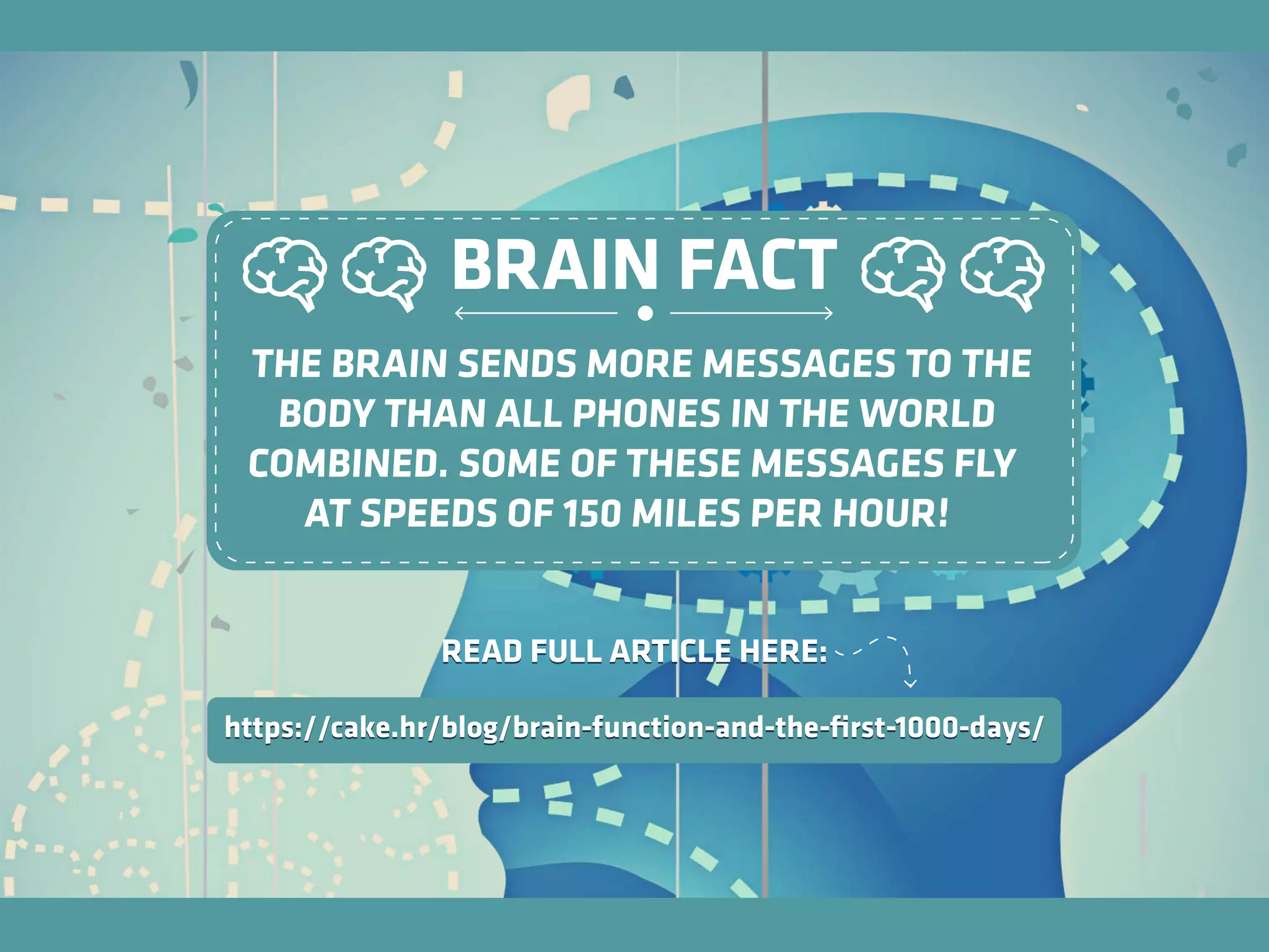 THE BRAIN SENDS MORE MESSAGES TO THE
BODY THAN ALL PHONES IN THE WORLD
COMBINED. SOME OF THESE MESSAGES FLY
AT SPEEDS OF 150 MILES PER HOUR!
BRAIN FACT
READ FULL ARTICLE HERE:
https://cake.hr/blog/brain-function-and-the-ﬁrst-1000-days/
READ FULL ARTICLE HERE:
https://cake.hr/blog/brain-function-and-the-ﬁrst-1000-days/
 