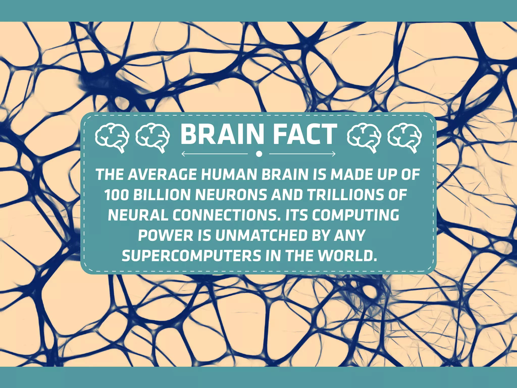 THE AVERAGE HUMAN BRAIN IS MADE UP OF
100 BILLION NEURONS AND TRILLIONS OF
NEURAL CONNECTIONS. ITS COMPUTING
POWER IS UNMATCHED BY ANY
SUPERCOMPUTERS IN THE WORLD.
BRAIN FACT
 