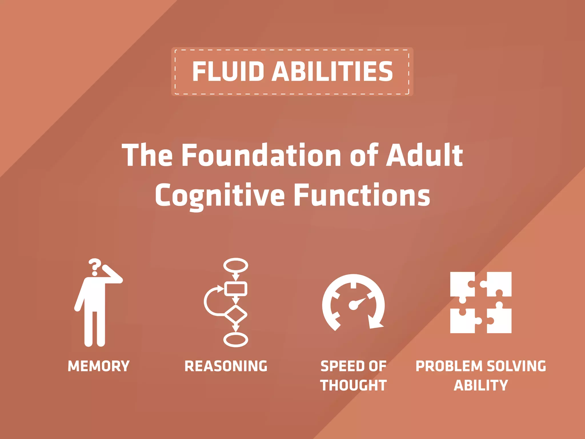 FLUID ABILITIES
The Foundation of Adult
Cognitive Functions
MEMORY PROBLEM SOLVING
ABILITY
REASONING SPEED OF
THOUGHT
 