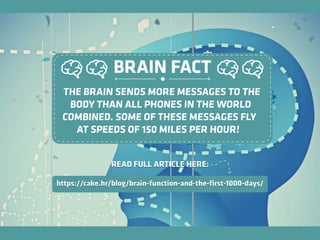 THE BRAIN SENDS MORE MESSAGES TO THE
BODY THAN ALL PHONES IN THE WORLD
COMBINED. SOME OF THESE MESSAGES FLY
AT SPEEDS OF 1...