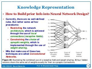 ASU-CSC445: Neural Networks Prof. Dr. Mostafa Gadal-Haqq
Knowledge Representation
 How to Build prior Info into Neural Network Design?
40
Figure 20: Illustrating the combined use of a receptive field and weight sharing. All four hidden
neurons share the same set of weights exactly for their six synaptic connections.
 Currently ,there are no well-defined
rules. But rather some ad hoc
procedures:
 Restricting the network
architecture, which is achieved
through the use of local
connections (receptive fields).
 Constraining the choice of
synaptic weights, which is
implemented through the use of
weight-sharing.
 NNs that make use of these two
techniques are called Convolutional
Networks.
 