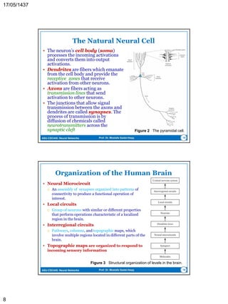 ASU-CSC445: Neural Networks Prof. Dr. Mostafa Gadal-Haqq 8
What is a Neural Network?
 A neural network is a massively parallel distributed
processor made up of simple processing units
(neurons) that has a natural tendency for storing
experiential knowledge and making it available for
use.
 It resembles the brain in two respects:
 Knowledge is acquired by the network from its environment
through the learning process.
 Interneuron connection strengths, known as synaptic weights,
are used to store the acquired knowledge.
 