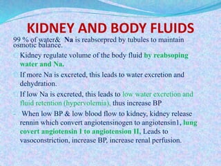 Kideney & body fluids | PPTX