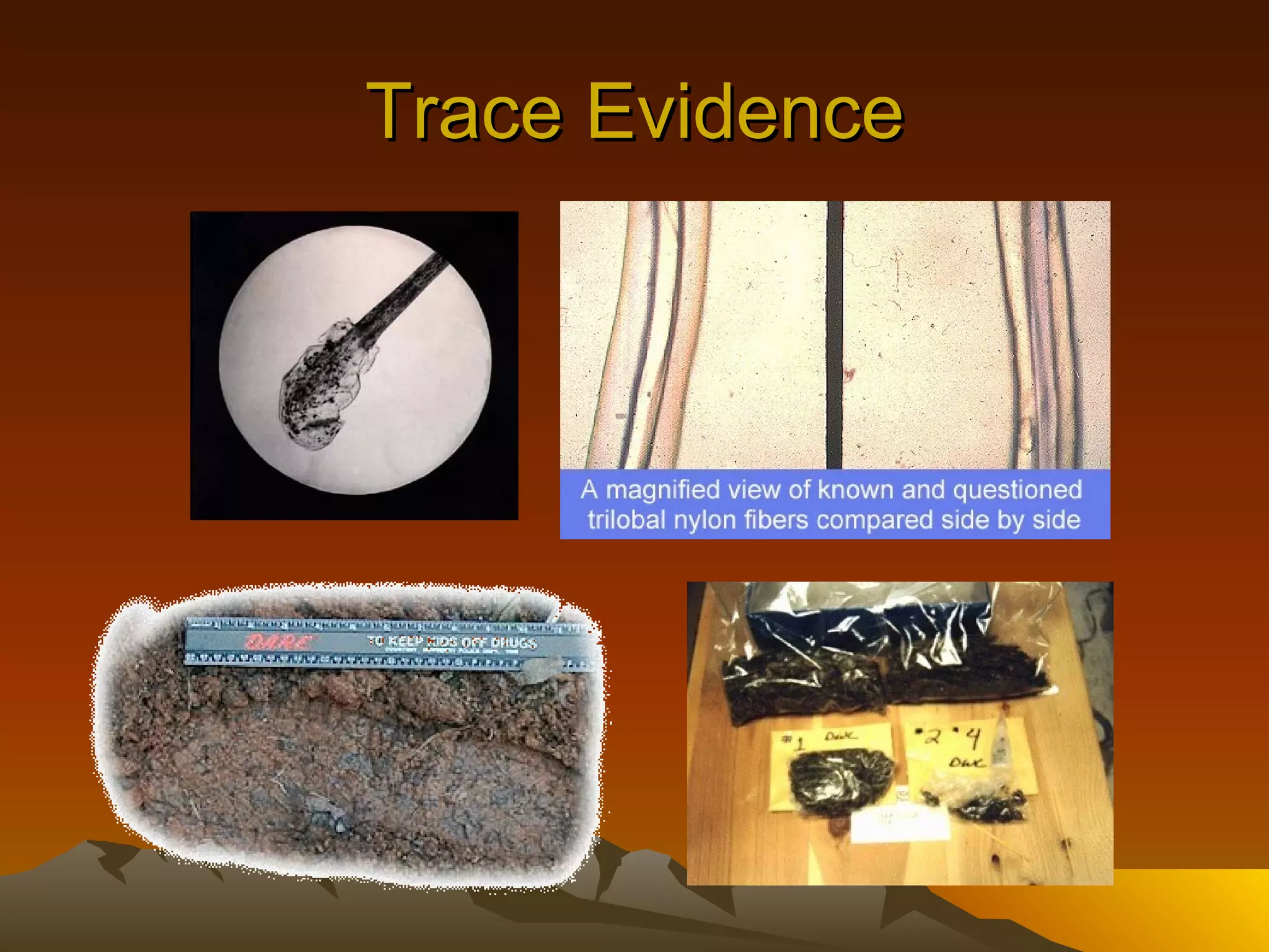 Trace Evidence 