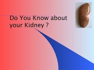 Do You Know about your Kidney ? 