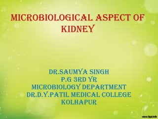 MICROBIOLOGICAL ASPECT OF
kidney

DR.SAUMYA SINGH
P.G 3rd YR
MICROBIOLOGY Department
dr.d.y.patil medical college
kolhapur

 