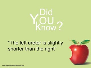 “The left ureter is slightly
shorter than the right”
Did
YOU
know?
 