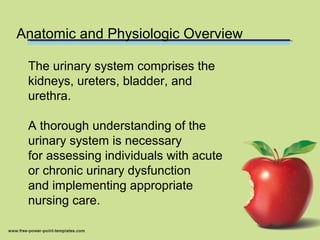 Anatomic and Physiologic Overview
The urinary system comprises the
kidneys, ureters, bladder, and
urethra.
A thorough understanding of the
urinary system is necessary
for assessing individuals with acute
or chronic urinary dysfunction
and implementing appropriate
nursing care.
 