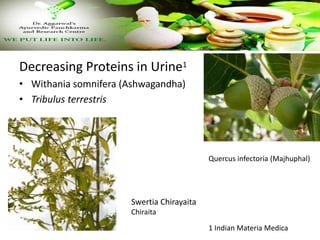 Decreasing Proteins in Urine1
• Withania somnifera (Ashwagandha)
• Tribulus terrestris
Quercus infectoria (Majhuphal)
Swertia Chirayaita
Chiraita
1 Indian Materia Medica
 