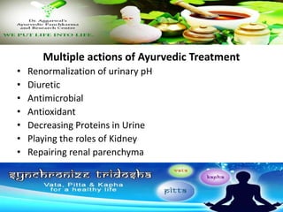Multiple actions of Ayurvedic Treatment
• Renormalization of urinary pH
• Diuretic
• Antimicrobial
• Antioxidant
• Decreasing Proteins in Urine
• Playing the roles of Kidney
• Repairing renal parenchyma
 