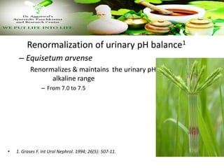 Renormalization of urinary pH balance1
– Equisetum arvense
Renormalizes & maintains the urinary pH towards
alkaline range
– From 7.0 to 7.5
• 1. Grases F. Int Urol Nephrol. 1994; 26(5): 507-11.
 