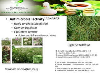 • Antimicrobial activity1,2,3,4,5,6,7,8
– Rubia cordifolia(Manjistha)
– Ocimum basilicum
– Equisetum arvense
• Potent anti-inflammatory activities
1. Gupta SK. Indian J Exp Biol. 1972 Jan; 10(1): 41-2.
2. J. Nat. Prod. 1984, 47, 865.
3. Iwalewa EO. J Ethnopharmacol. 2003 Jun; 86(2-3): 229-34.
4. Gupta M. Fitoterapia. 2003 Feb; 74(1-2): 148-50.
5. Jain A, Basal E. Phytomedicine. 2003 Jan; 10(1): 34-8.
6. Goel RK, Banerjee RS. J Ethnopharmacol. 1990 Apr; 29(1): 95-
103.
7. Singh S. Indian J Exp Biol. 1999 Mar; 37(3): 248-52.
8. Do Monte F H. Pharmacol Res. 2004 Mar; 49(3): 239-43.
Cyperus scariosus
Vernonia cinerea(kali jeeri)
 