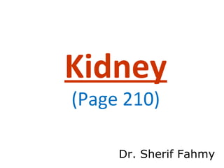 Kidney
(Page 210)
Dr. Sherif Fahmy
 