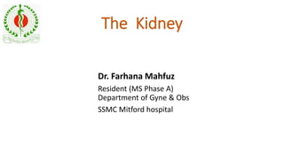 The Kidney
Dr. Farhana Mahfuz
Resident (MS Phase A)
Department of Gyne & Obs
SSMC Mitford hospital
 