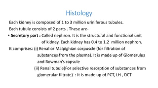 Histology
Each kidney is composed of 1 to 3 million uriniferous tubules.
Each tubule consists of 2 parts . These are-
• Secretory part : Called nephron. It is the structural and functional unit
of kidney. Each kidney has 0.4 to 1.2 million nephron.
It comprises: (i) Renal or Malpighian corpuscle (for filtration of
substances from the plasma). It is made up of Glomerulus
and Bowman’s capsule
(ii) Renal tubule(For selective resorption of substances from
glomerular filtrate) : It is made up of PCT, LH , DCT
 