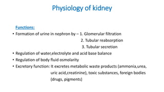 Physiology of kidney
Functions:
• Formation of urine in nephron by – 1. Glomerular filtration
2. Tubular reabsorption
3. Tubular secretion
• Regulation of water,electrolyte and acid base balance
• Regulation of body fluid osmolarity
• Excretory function: It excretes metabolic waste products (ammonia,urea,
uric acid,creatinine), toxic substances, foreign bodies
(drugs, pigments)
 