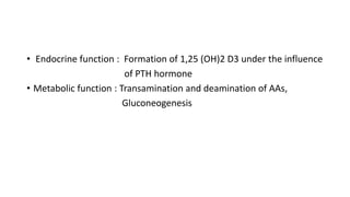 • Endocrine function : Formation of 1,25 (OH)2 D3 under the influence
of PTH hormone
• Metabolic function : Transamination and deamination of AAs,
Gluconeogenesis
 