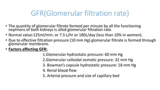 GFR(Glomerular filtration rate)
• The quantity of glomerular filtrate formed per minute by all the functioning
nephrons of both kidneys is alled glomerular filtration rate.
• Normal value:125ml/min. or 7.5 L/hr or 180L/day (less than 10% in women).
• Due to effective filtration pressure (10 mm Hg) glomerular filtrate is formed through
glomerular membrane.
• Factors affecting GFR:
1.Glomerular hydrostatic pressure: 60 mm Hg
2.Glomerular colloidal osmotic pressure: 32 mm Hg
3. Bowman’s capsule hydrostatic pressure: 18 mm Hg
4. Renal blood flow
5. Arterial pressure and size of capillary bed
 