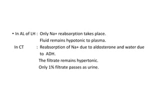 • In AL of LH : Only Na+ reabsorption takes place.
Fluid remains hypotonic to plasma.
In CT : Reabsorption of Na+ due to aldosterone and water due
to ADH.
The filtrate remains hypertonic.
Only 1% filtrate passes as urine.
 