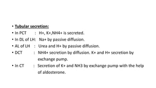 • Tubular secretion:
• In PCT : H+, K+,NH4+ is secreted.
• In DL of LH: Na+ by passive diffusion.
• AL of LH : Urea and H+ by passive diffusion.
• DCT : NH4+ secretion by diffusion. K+ and H+ secretion by
exchange pump.
• In CT : Secretion of K+ and NH3 by exchange pump with the help
of aldosterone.
 