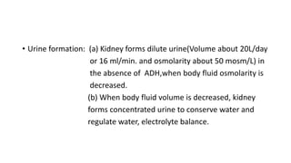 • Urine formation: (a) Kidney forms dilute urine(Volume about 20L/day
or 16 ml/min. and osmolarity about 50 mosm/L) in
the absence of ADH,when body fluid osmolarity is
decreased.
(b) When body fluid volume is decreased, kidney
forms concentrated urine to conserve water and
regulate water, electrolyte balance.
 
