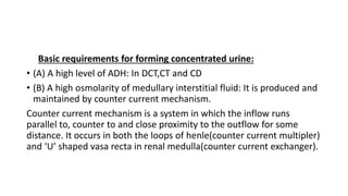 Basic requirements for forming concentrated urine:
• (A) A high level of ADH: In DCT,CT and CD
• (B) A high osmolarity of medullary interstitial fluid: It is produced and
maintained by counter current mechanism.
Counter current mechanism is a system in which the inflow runs
parallel to, counter to and close proximity to the outflow for some
distance. It occurs in both the loops of henle(counter current multipler)
and ‘U’ shaped vasa recta in renal medulla(counter current exchanger).
 