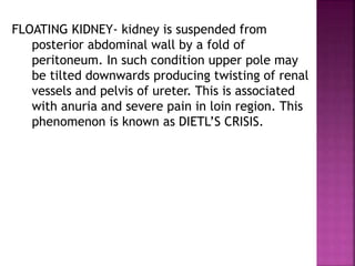 FLOATING KIDNEY- kidney is suspended from
posterior abdominal wall by a fold of
peritoneum. In such condition upper pole may
be tilted downwards producing twisting of renal
vessels and pelvis of ureter. This is associated
with anuria and severe pain in loin region. This
phenomenon is known as DIETL’S CRISIS.
 