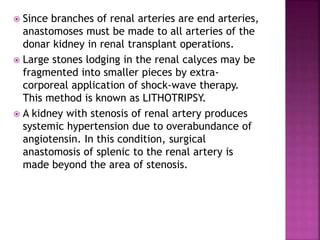  Since branches of renal arteries are end arteries,
anastomoses must be made to all arteries of the
donar kidney in renal transplant operations.
 Large stones lodging in the renal calyces may be
fragmented into smaller pieces by extra-
corporeal application of shock-wave therapy.
This method is known as LITHOTRIPSY.
 A kidney with stenosis of renal artery produces
systemic hypertension due to overabundance of
angiotensin. In this condition, surgical
anastomosis of splenic to the renal artery is
made beyond the area of stenosis.
 