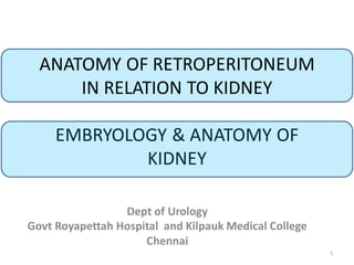 ANATOMY OF RETROPERITONEUM
IN RELATION TO KIDNEY
EMBRYOLOGY & ANATOMY OF
KIDNEY
Dept of Urology
Govt Royapettah Hospital and Kilpauk Medical College
Chennai
1
 