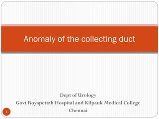 Dept of Urology
Govt Royapettah Hospital and Kilpauk Medical College
Chennai
Anomaly of the collecting duct
1
 
