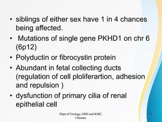 Renal cystic disease -2 | PDF