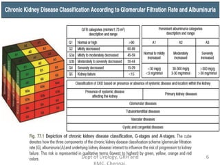 Chronic Kidney Disease | PDF