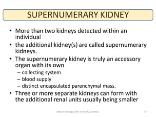 Congenital anomalies of kidney. | PDF