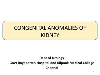 CONGENITAL ANOMALIES OF
KIDNEY
Dept of Urology
Govt Royapettah Hospital and Kilpauk Medical College
Chennai
1
 