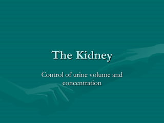 The Kidney Control of urine volume and concentration 