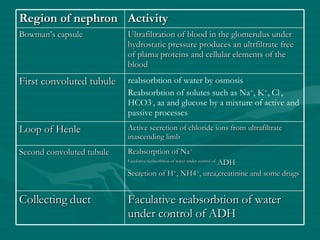 Region of nephron Activity Bowman’s capsule Ultrafiltration of blood in the glomerulus under hydrostatic pressure produces an ultrfiltrate free of plama proteins and cellular elements of the blood First convoluted tubule reabsorbtion of water by osmosis Reabsorbtion of solutes such as Na + , K + , Cl - , HCO3 - , aa and glucose by a mixture of active and passive processes Loop of Henle Active secretion of chloride ions from ultrafiltrate inascending limb Second convoluted tubule Reabsorption of Na + Faculative reabsorbtion of water under control of  ADH Secretion of H + , NH4 + , urea,creatinine and some drugs Collecting duct Faculative reabsorbtion of water under control of ADH 