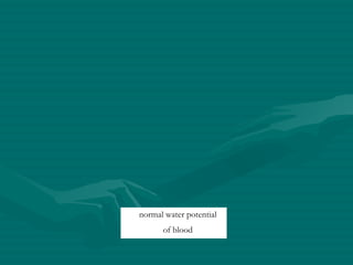 normal water potential of blood 