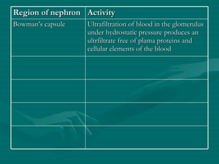Region of nephron Activity Bowman’s capsule Ultrafiltration of blood in the glomerulus under hydrostatic pressure produces an ultrfiltrate free of plama proteins and cellular elements of the blood 
