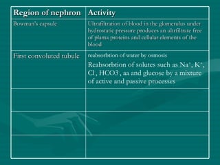 Region of nephron Activity Bowman’s capsule Ultrafiltration of blood in the glomerulus under hydrostatic pressure produces an ultrfiltrate free of plama proteins and cellular elements of the blood First convoluted tubule reabsorbtion of water by osmosis Reabsorbtion of solutes such as Na + , K + , Cl - , HCO3 - , aa and glucose by a mixture of active and passive processes 