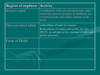 Region of nephron Activity Bowman’s capsule Ultrafiltration of blood in the glomerulus under hydrostatic pressure produces an ultrfiltrate free of plama proteins and cellular elements of the blood First convoluted tubule reabsorbtion of water by osmosis Reabsorbtion of solutes such as Na + , K + , Cl - , HCO3 - , aa and glucose by a mixture of active and passive processes Loop of Henle 