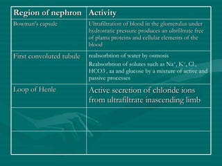 Region of nephron Activity Bowman’s capsule Ultrafiltration of blood in the glomerulus under hydrostatic pressure produces an ultrfiltrate free of plama proteins and cellular elements of the blood First convoluted tubule reabsorbtion of water by osmosis Reabsorbtion of solutes such as Na + , K + , Cl - , HCO3 - , aa and glucose by a mixture of active and passive processes Loop of Henle Active secretion of chloride ions from ultrafiltrate inascending limb 