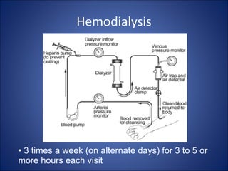 Common Kidney Diseases | PPT