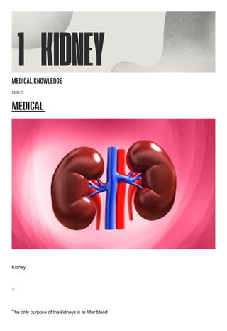 Medical knowledge
23.10.23
Medical
Kidney
1
The only purpose of the kidneys is to filter blood
1 KIDNEY
 