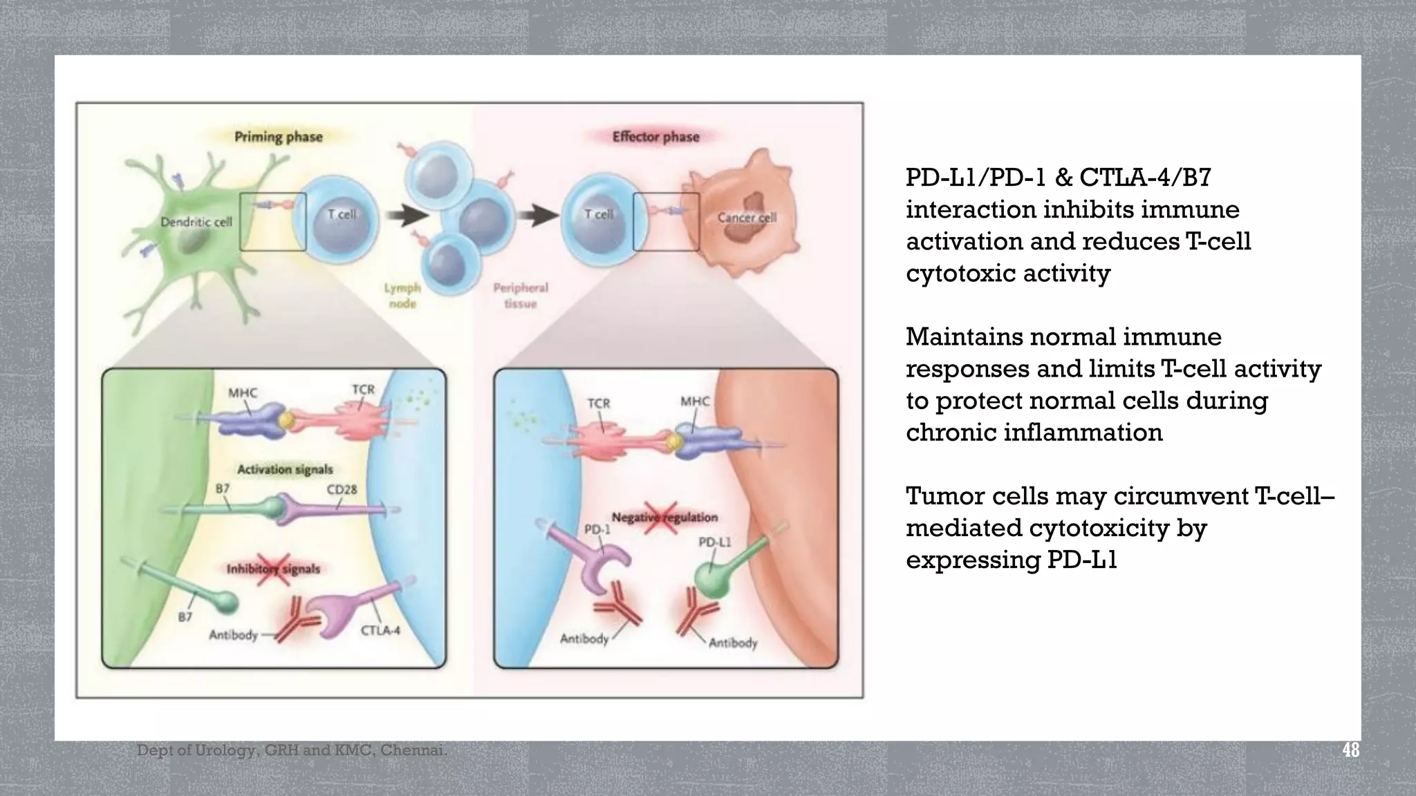 MANAGEMENT OF METASTASIS RENAL CELL CARCINOMA | PDF
