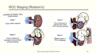RENAL TUMOURS | PDF